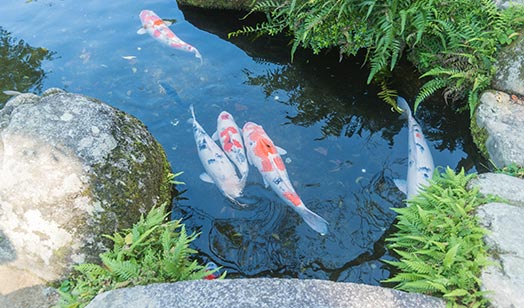 生產(chǎn)線擴(kuò)建項(xiàng)目調(diào)試時(shí)間公示 生產(chǎn)線擴(kuò)建項(xiàng)目調(diào)試時(shí)間公示